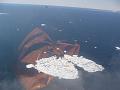 Alaska 2008 079